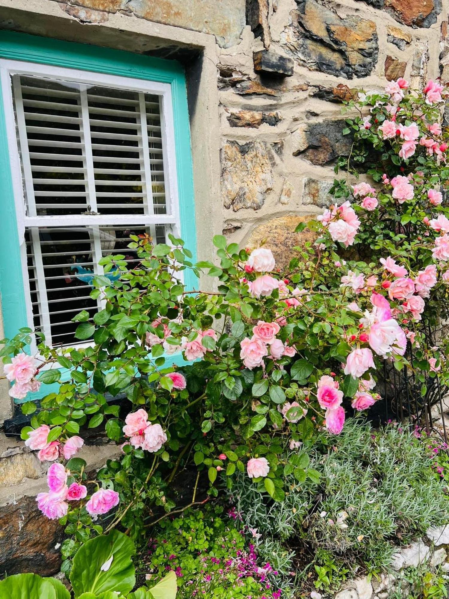 Copper Miner'S Cottage Beddgelert Εξωτερικό φωτογραφία